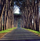 http://www.wineroute.co.za/intl/images/church.jpg